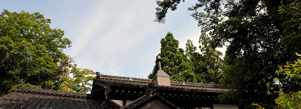 写真:富山いかかde SHOW
